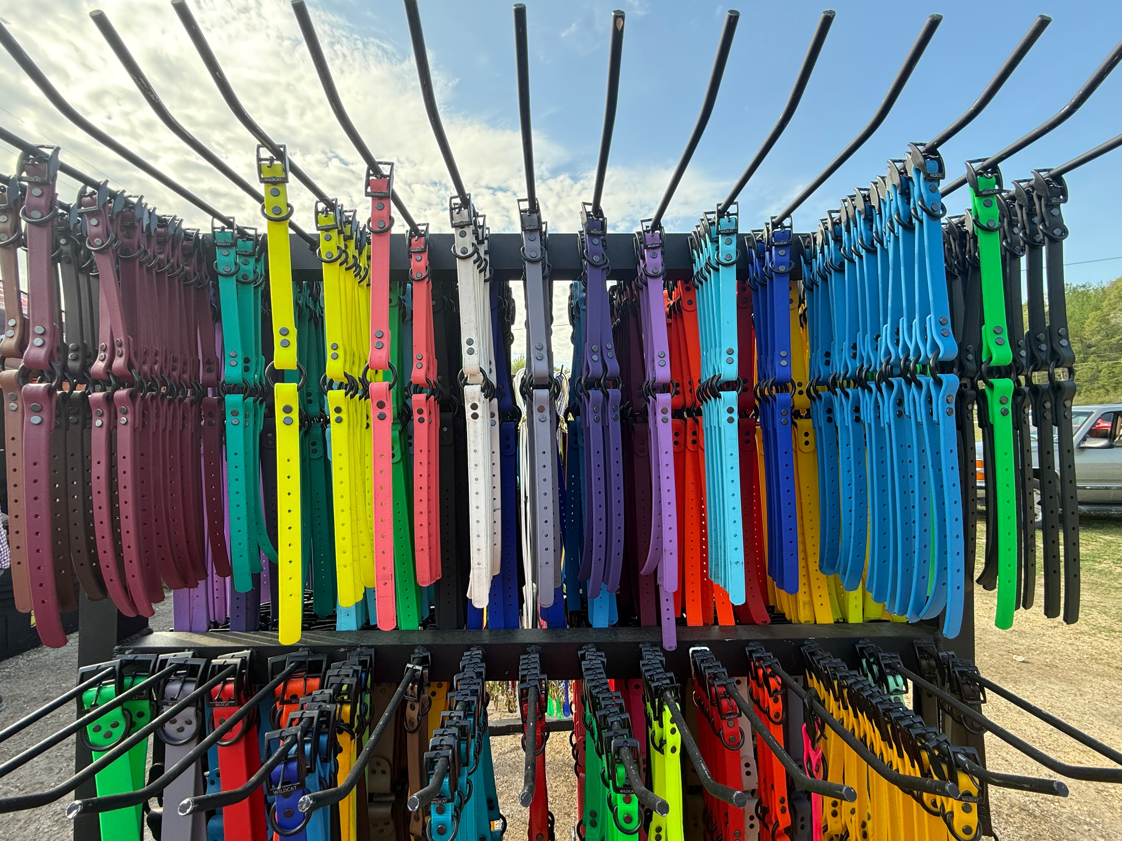 Collars and Leads