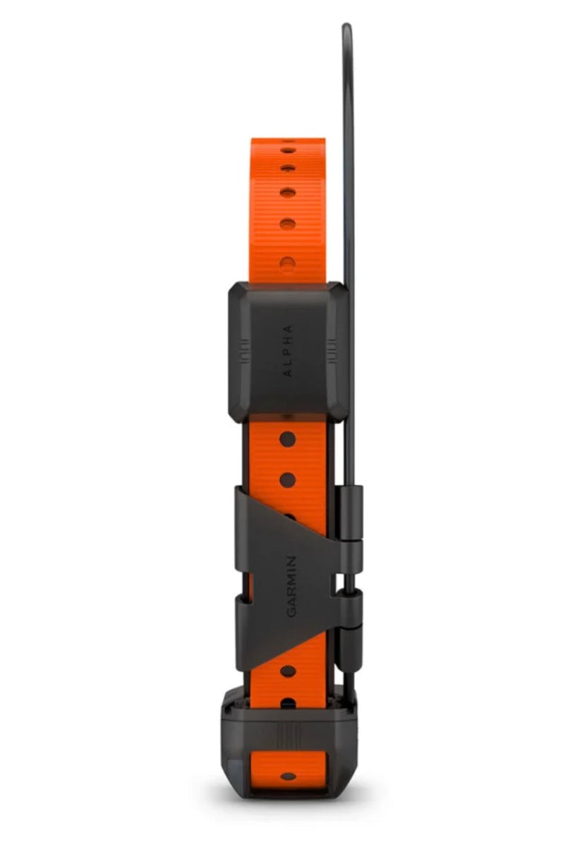 Alpha TT 25 Dog Collar