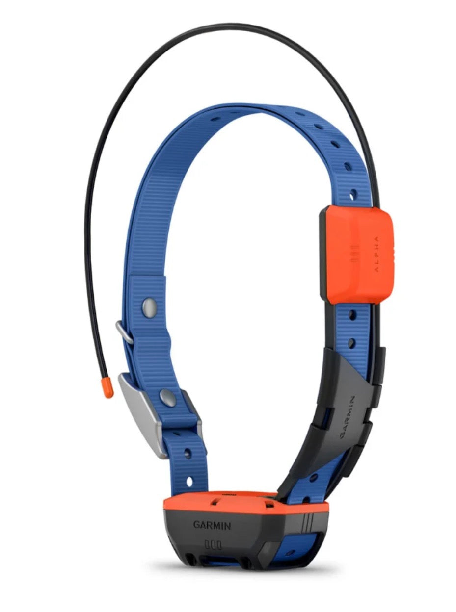 Alpha T 20 Dog Collar