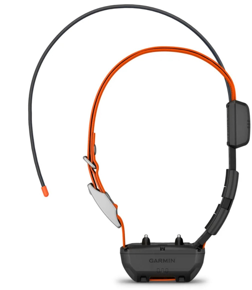 Alpha TT 25 Dog Collar