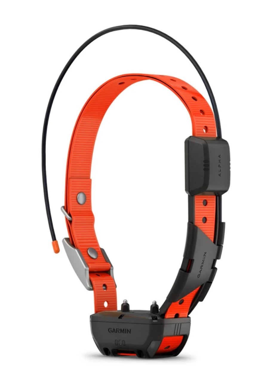 Alpha TT 25 Dog Collar