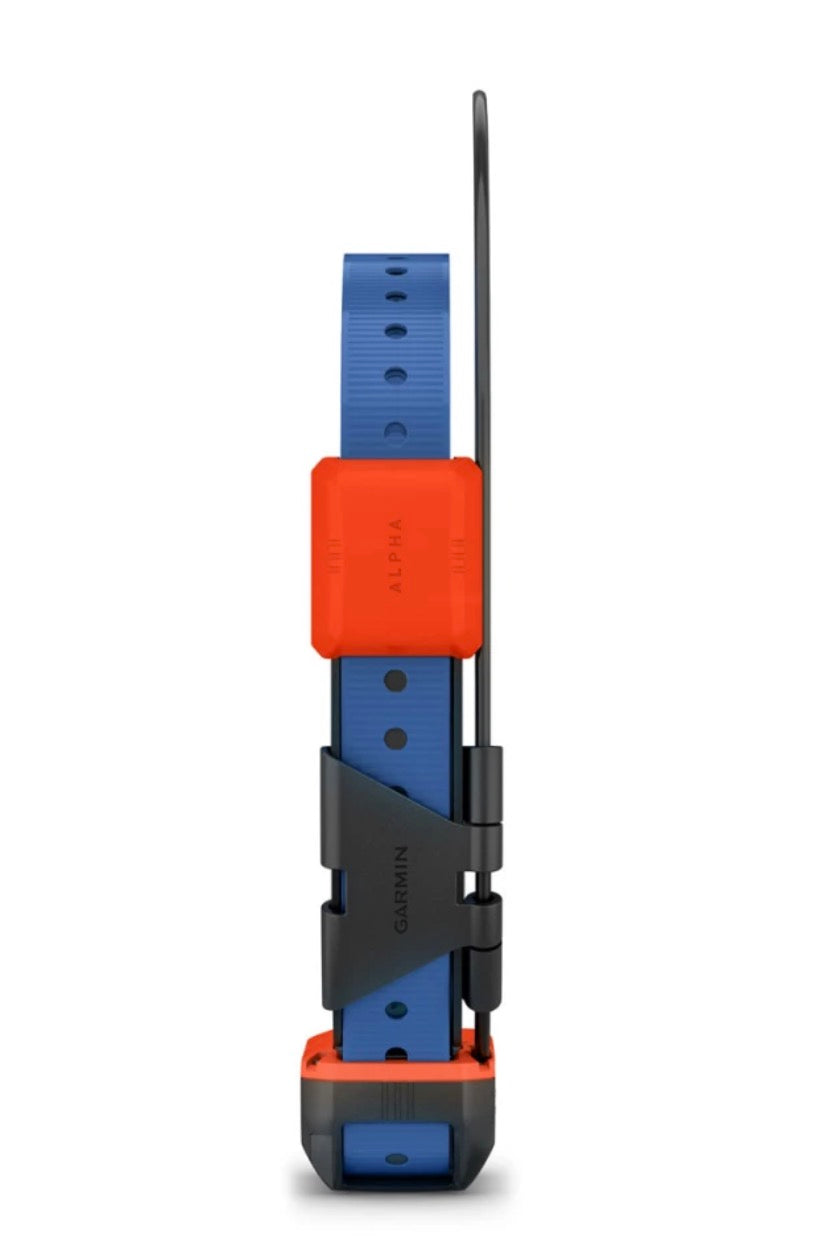 Alpha T 20 Dog Collar