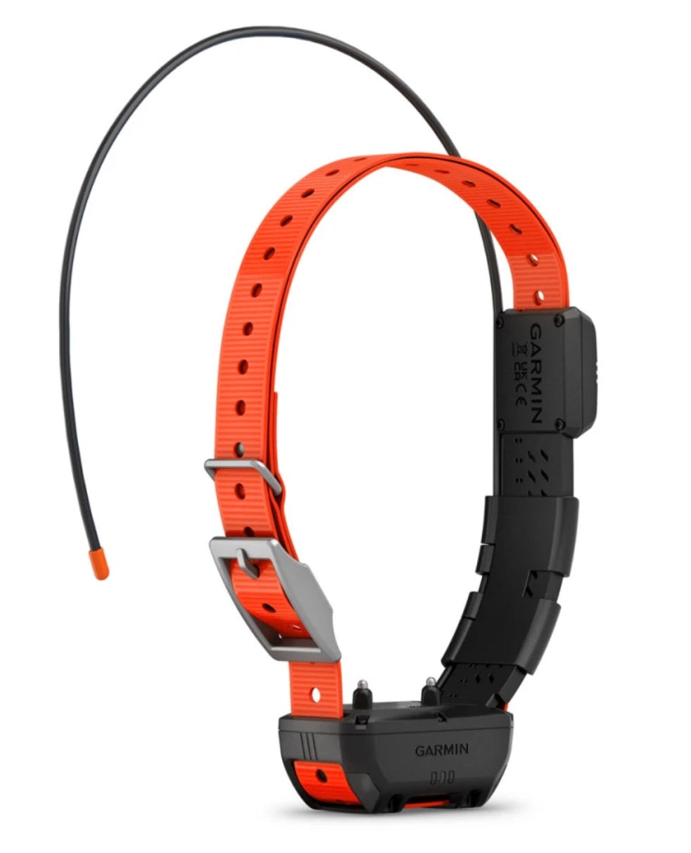 Alpha TT 25 Dog Collar