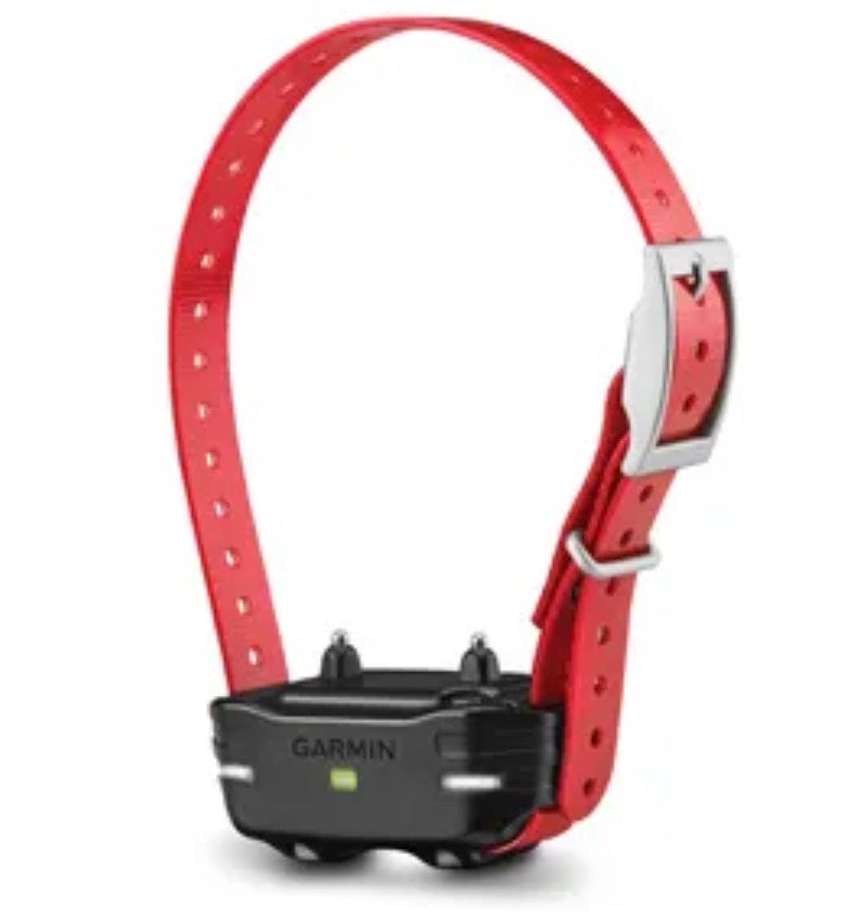 PT 10 Dog Device