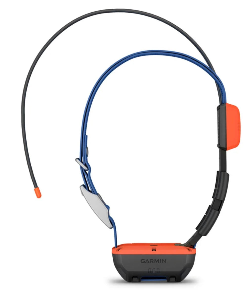 Alpha T 20 Dog Collar