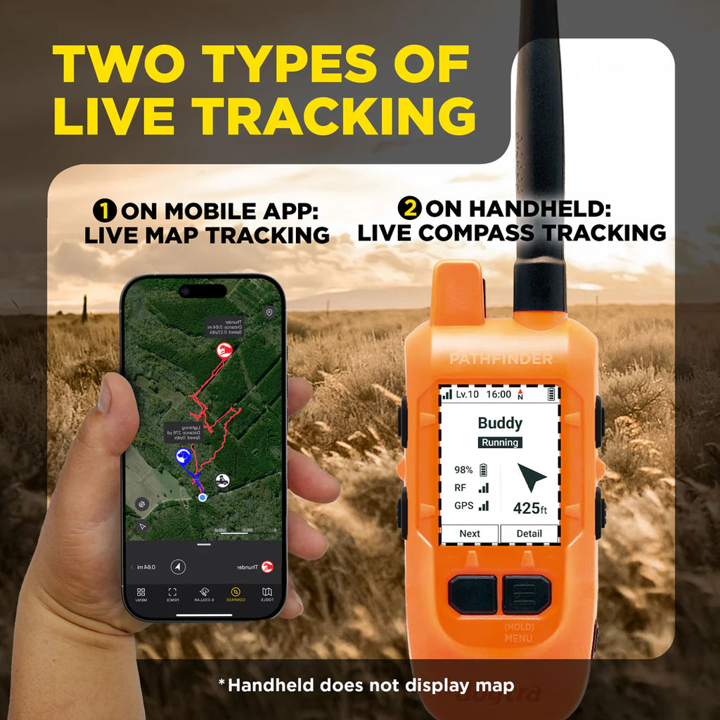 Dogtra Compass Handheld