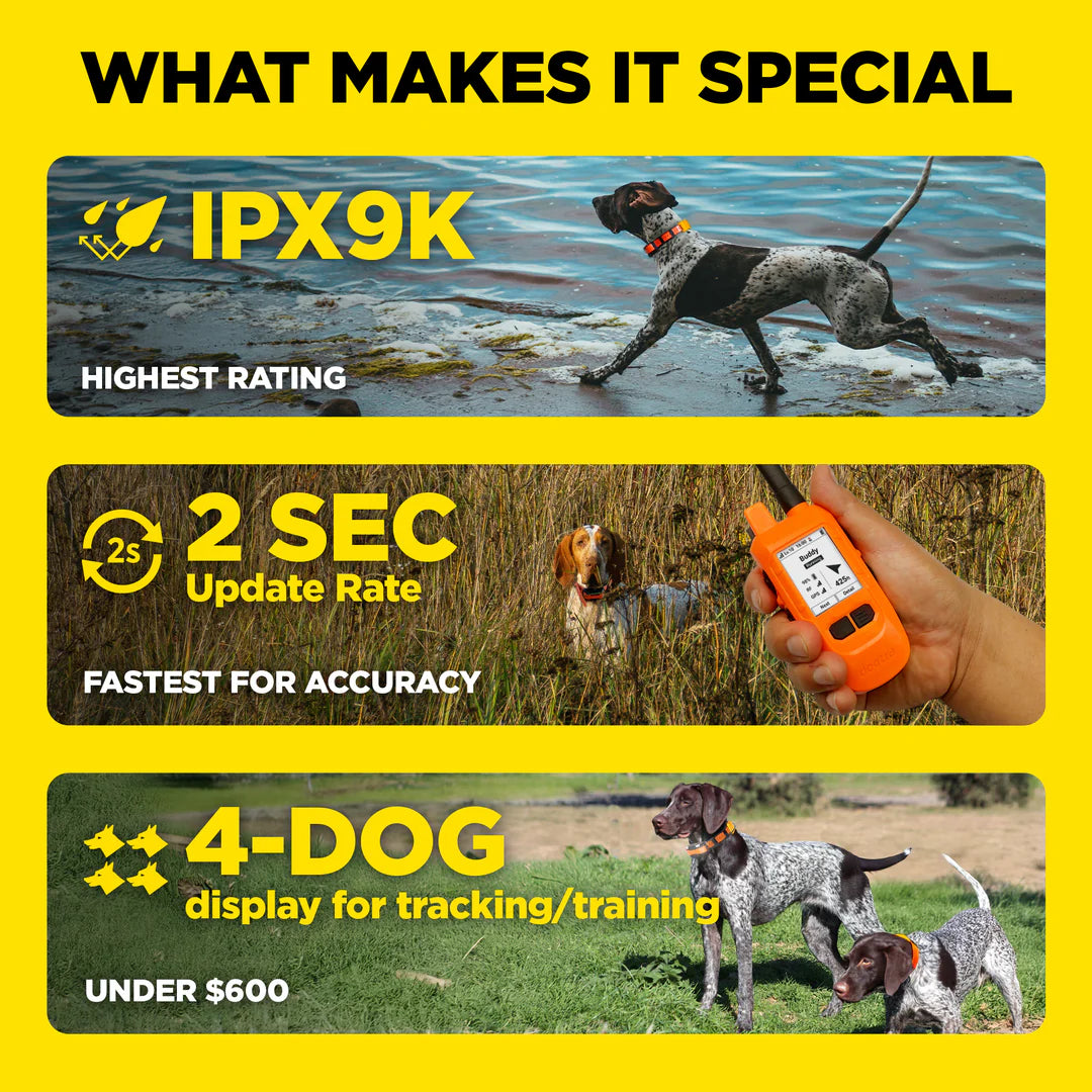 Dogtra Compass Handheld