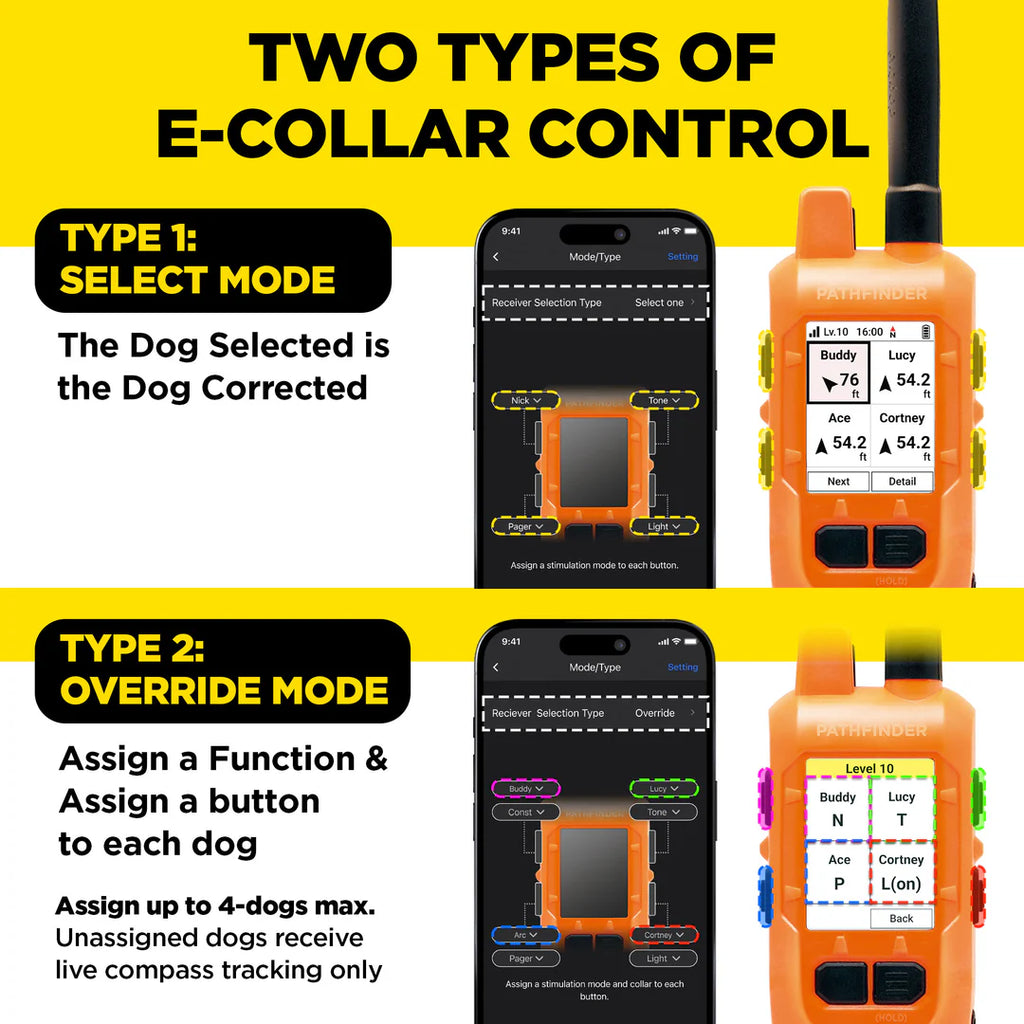 Dogtra Compass Handheld