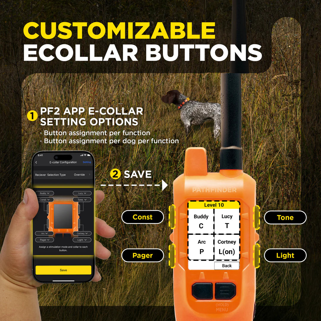 Dogtra Compass Handheld