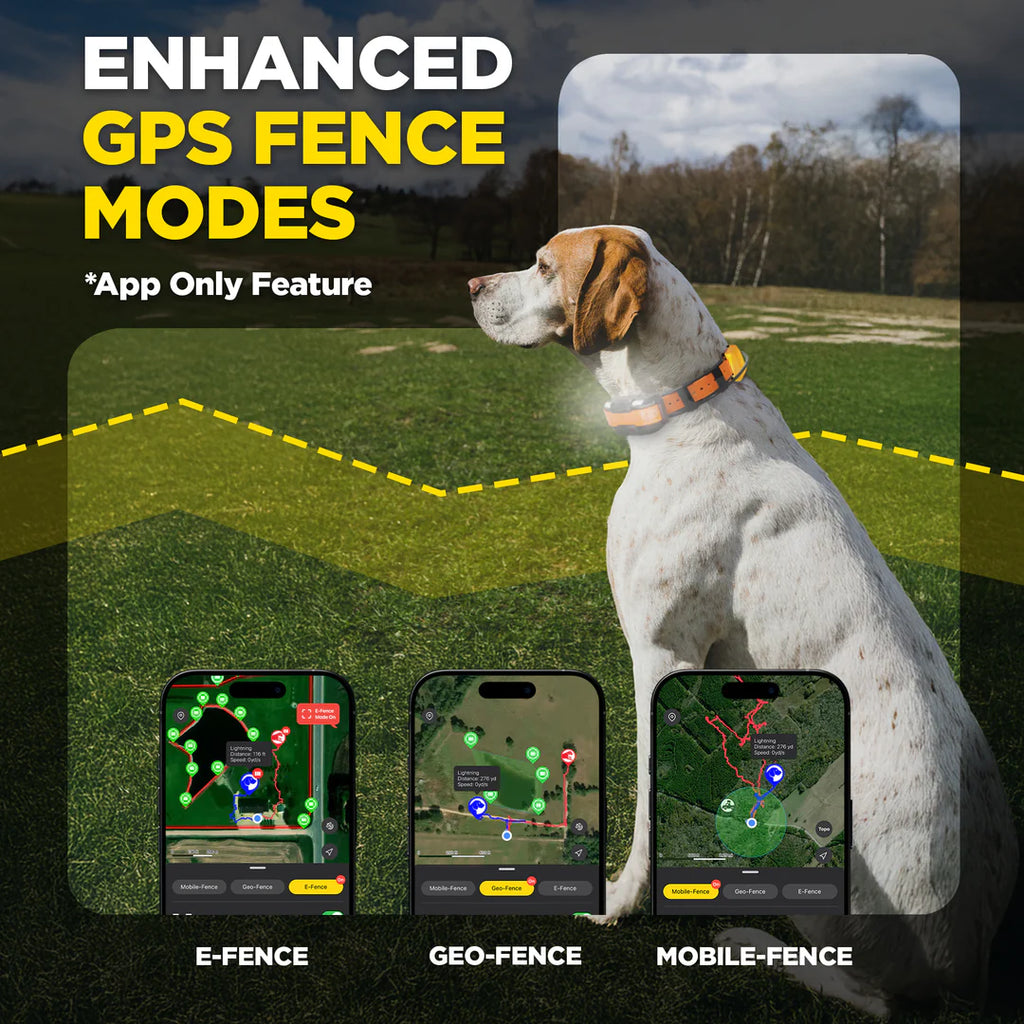 Dogtra Compass Handheld
