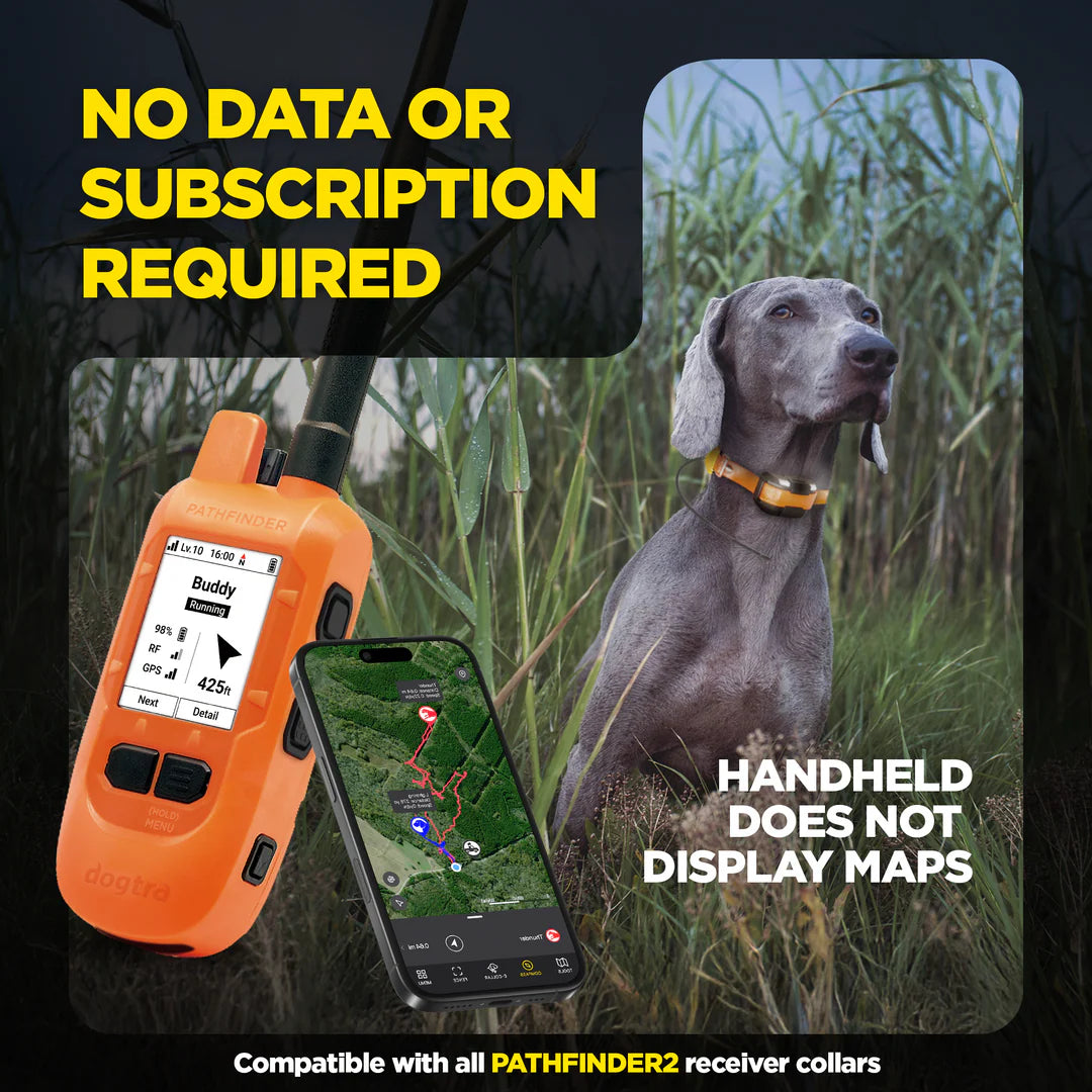 Dogtra Compass Handheld