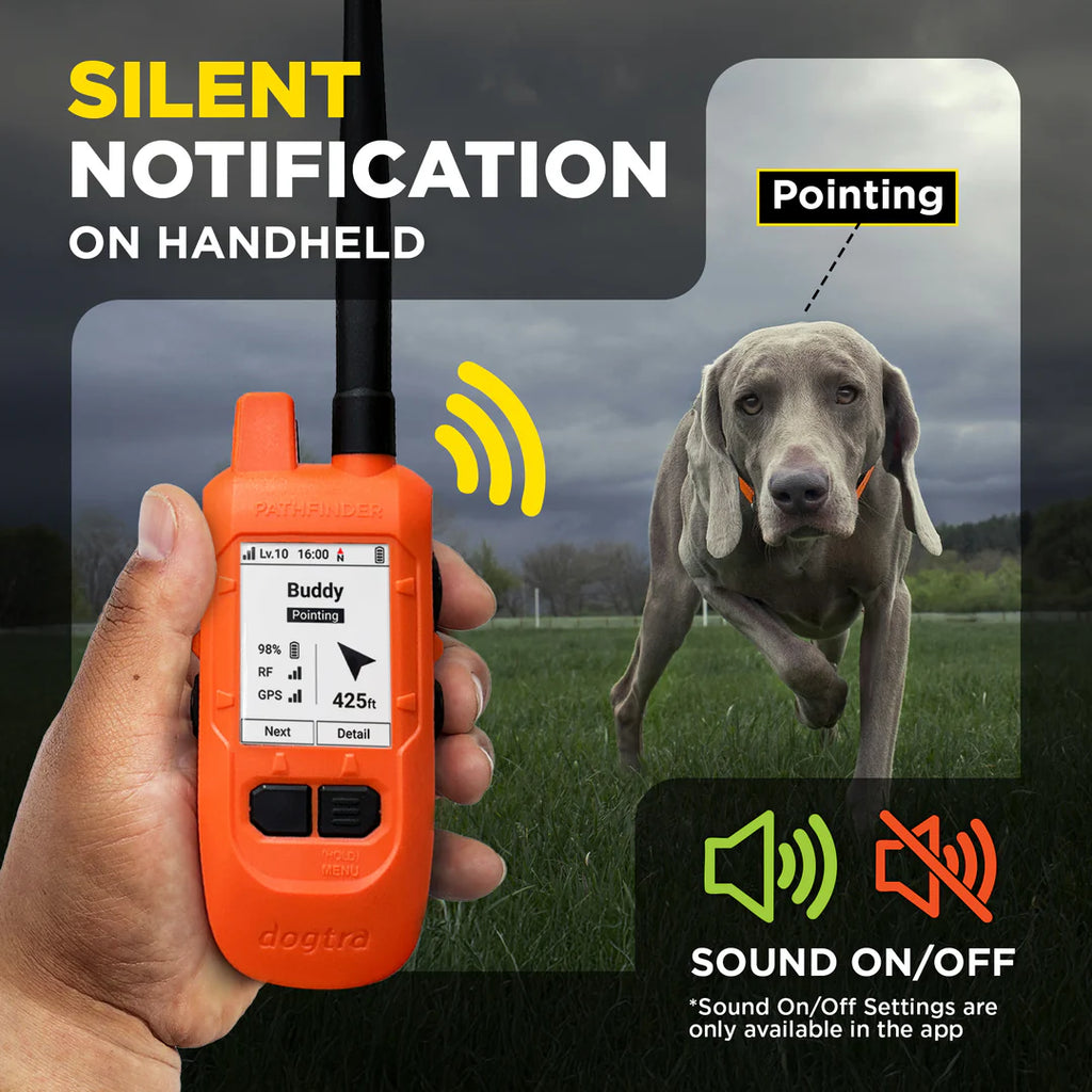 Dogtra Compass Handheld
