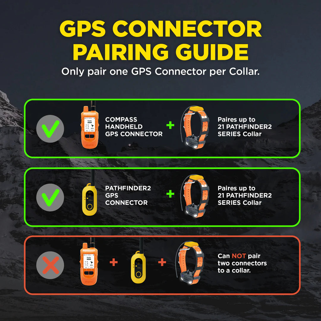Dogtra Compass Handheld