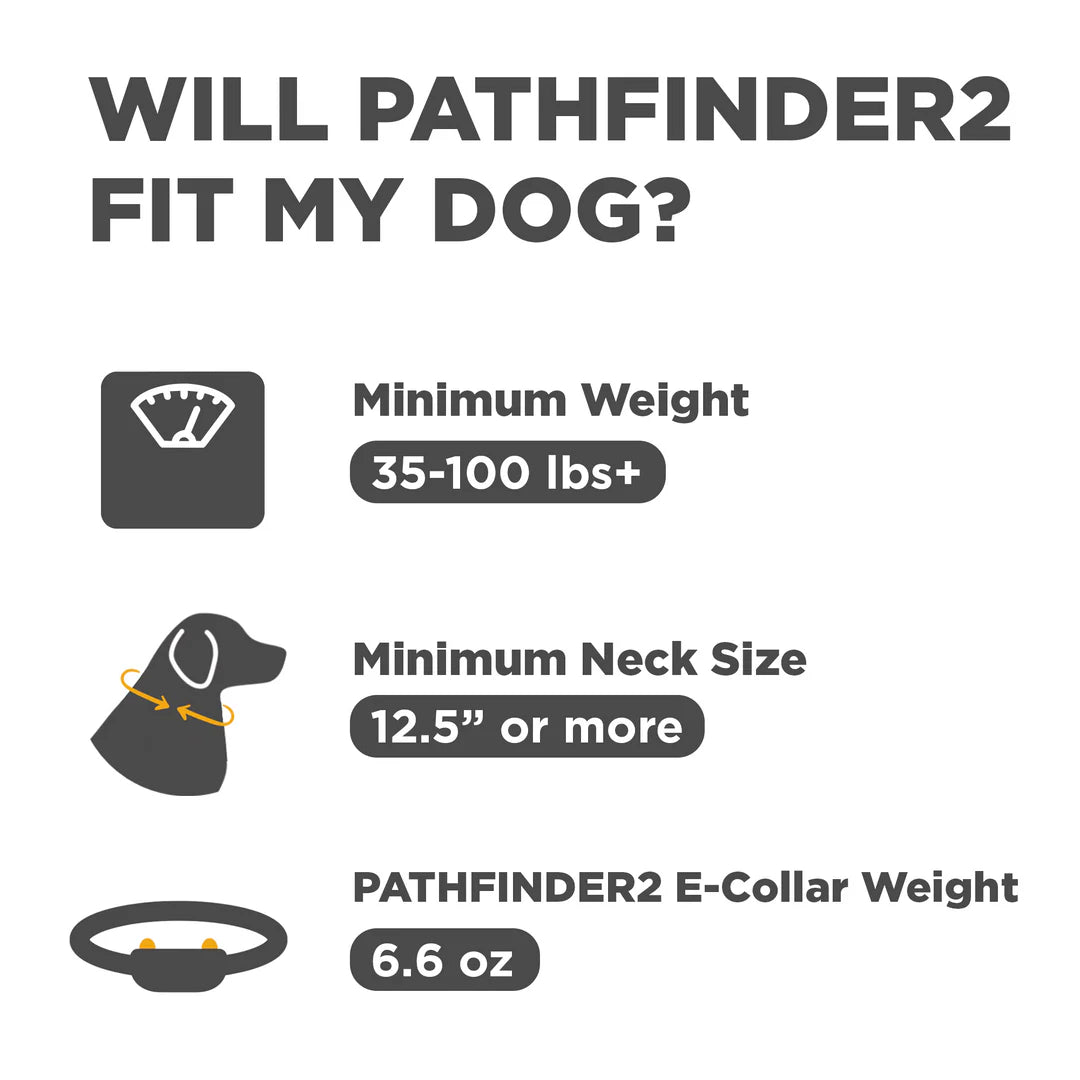 Dogtra Pathfinder2