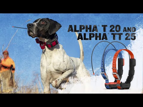 Alpha TT 25 Dog Collar